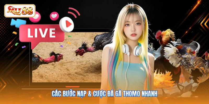 Các bước nạp & cược đá gà Thomo nhanh