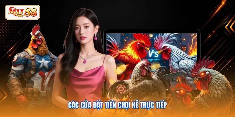 Các cửa đặt tiền chọi kê trực tiếp
