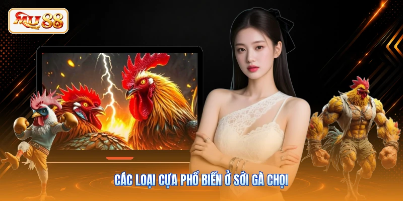 Các loại cựa phổ biến ở sới gà chọi