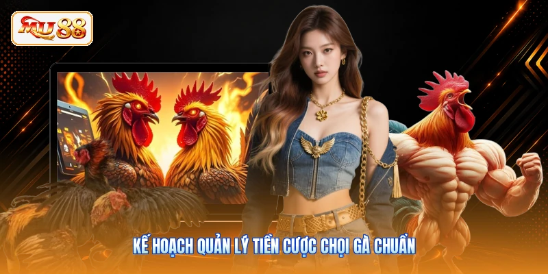 Kế hoạch quản lý tiền cược chọi gà chuẩn