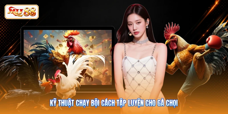 Kỹ thuật chạy bội cách tập luyện cho gà chọi