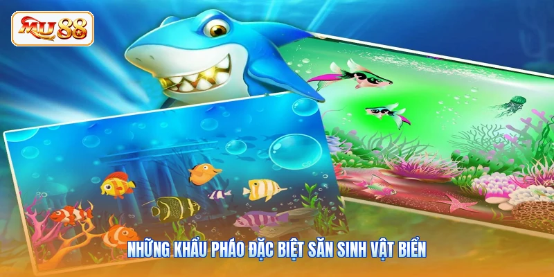 Những khẩu pháo đặc biệt săn sinh vật biển