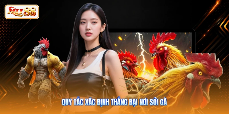 Quy tắc xác định thắng bại nơi sới gà