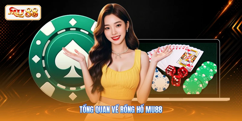 Tổng quan về rồng hổ MU88